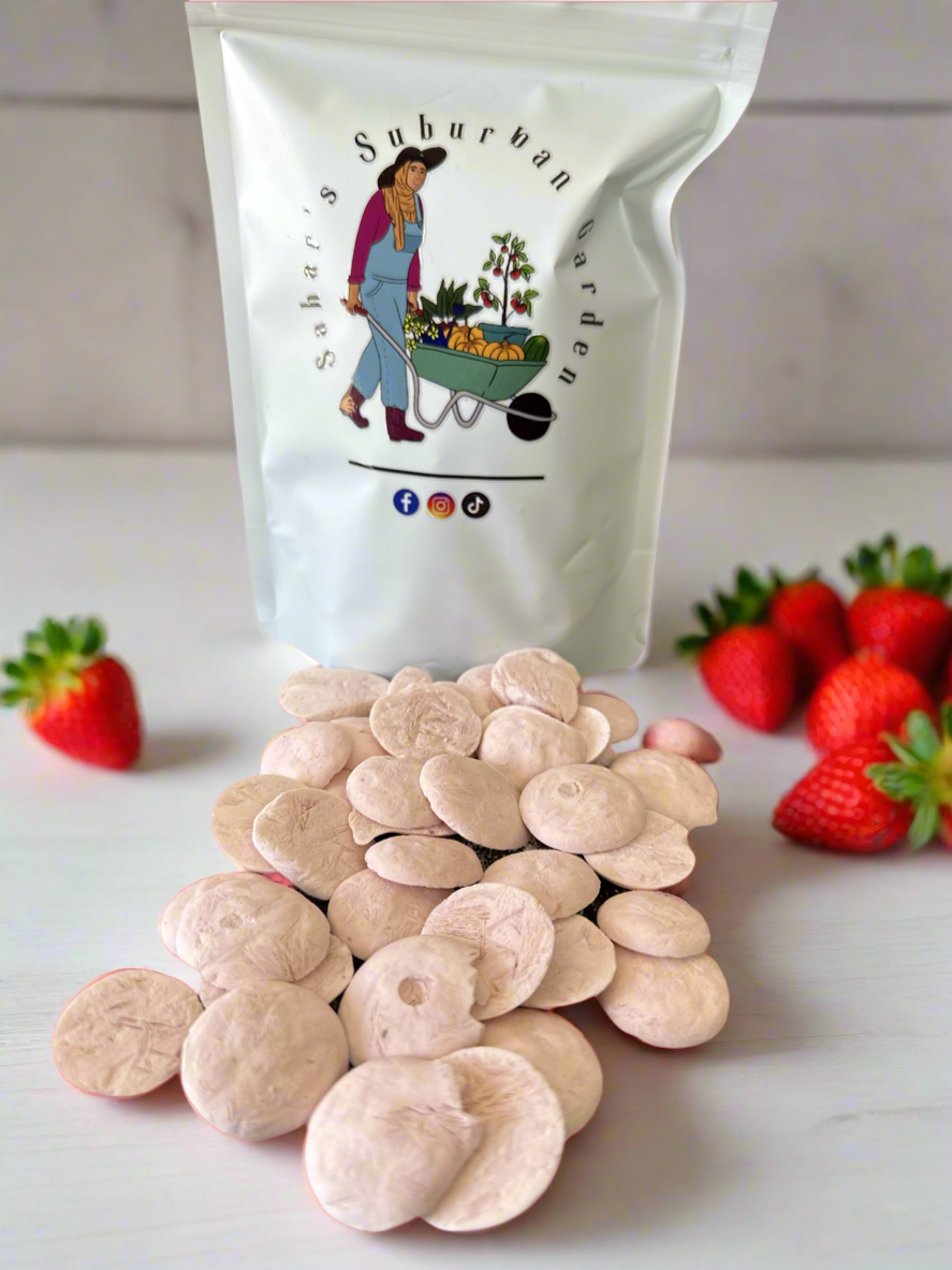 Freeze Dried Strawberry Yogurt Drops