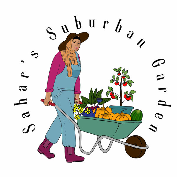 SaharsSuburbanGarden