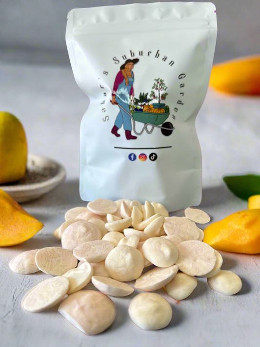 Freeze Dried Mango Yogurt Drops