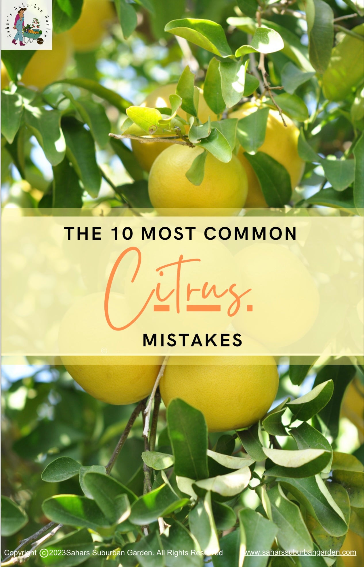 FREE - 10 Most Common Citrus Mistakes to Avoid